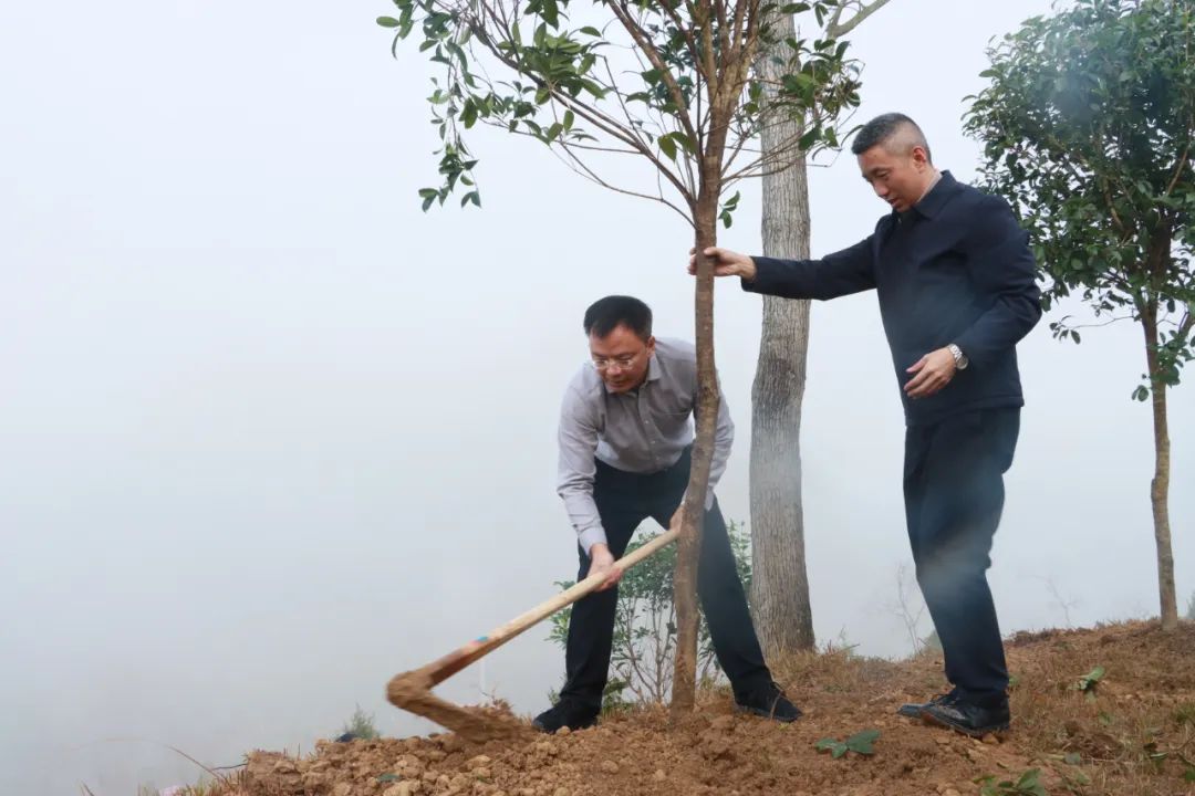 德江县2024年义务植树活动举行